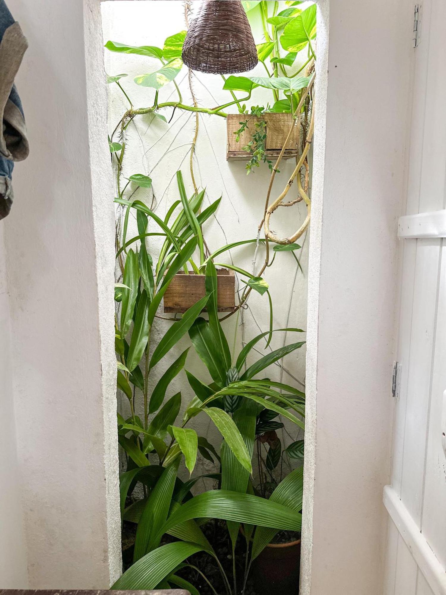 Casa Da Gloria - Boutique